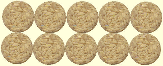 riz