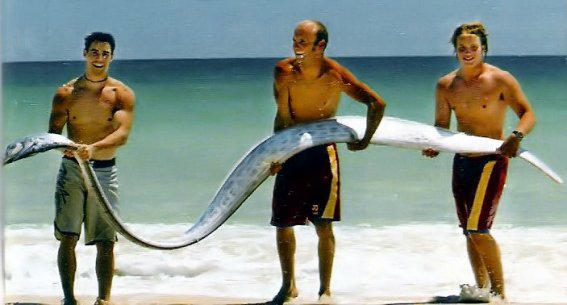 poisson serpent